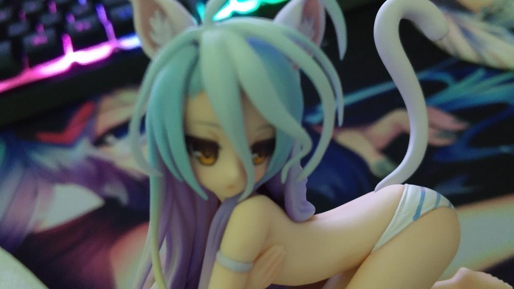 [Close]
Shiro: Cat Ver. (PVC Figure) Photo(s) taken by Misa