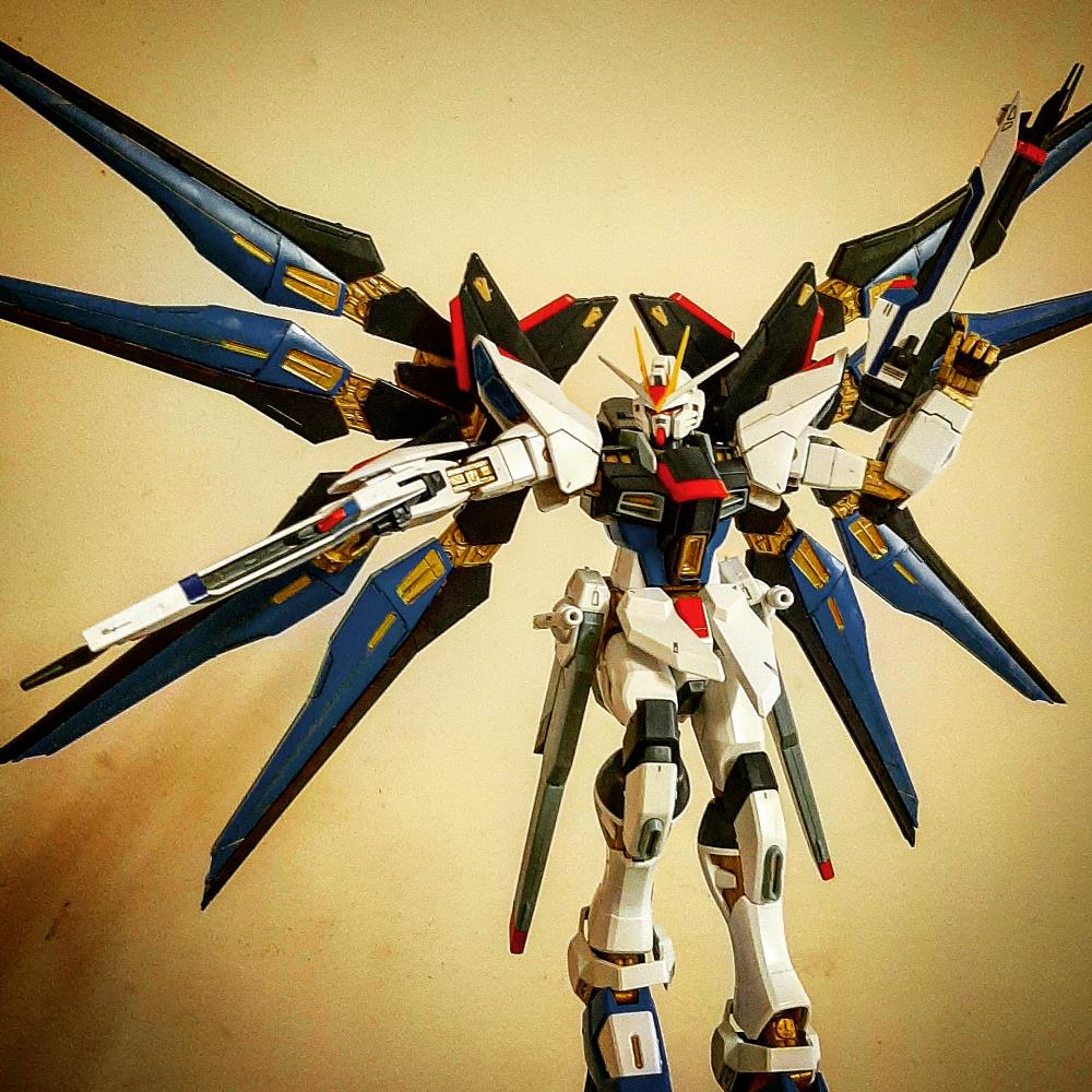 [Close]
ZGMF-X20A Strike Freedom Gundam (MG) (Gundam Model Kits) Photo(s) taken by anon.