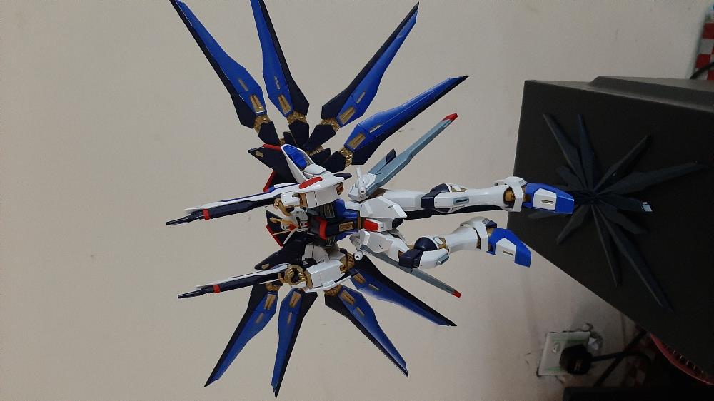 [Close]
ZGMF-X20A Strike Freedom Gundam (MG) (Gundam Model Kits) Photo(s) taken by anon.